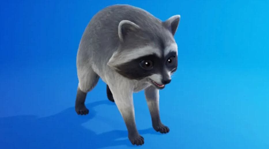How to Get Jimothy the Raccoon Sidekick for Free in Fortnite